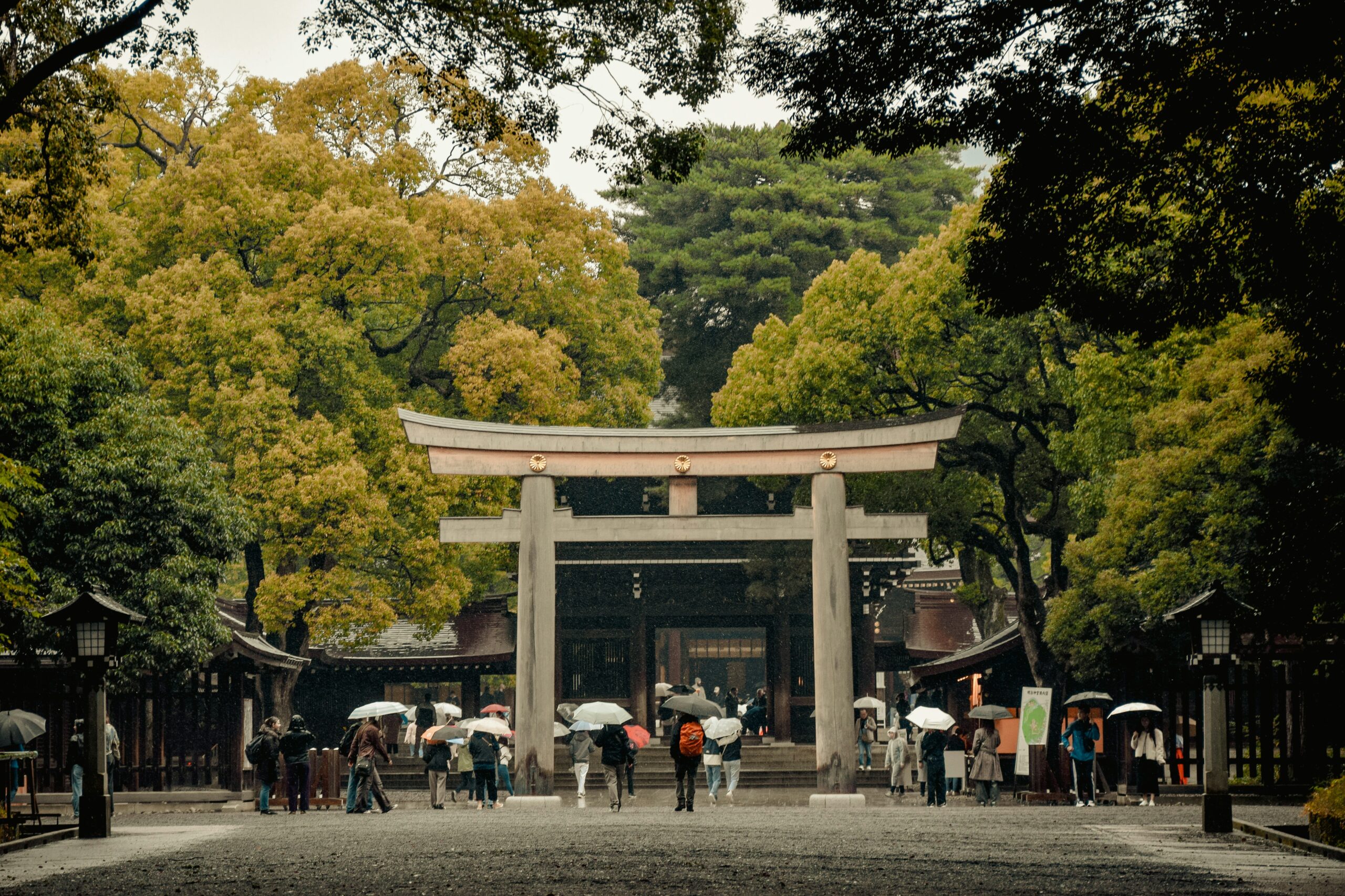Massive wooden torii gate at the entrance to Meiji Shrine in Tokyo surrounded by a dense forest.